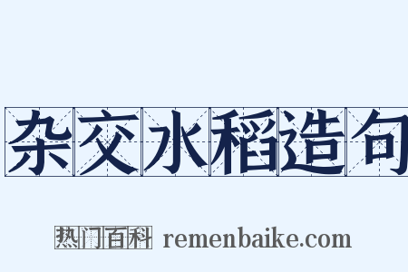 杂交水稻造句是什么意思的图片
